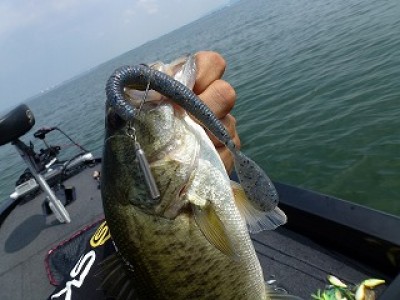 truth news ブログ写真 2012/09/14