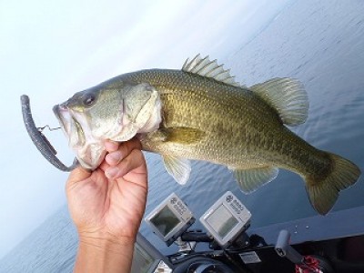 truth news ブログ写真 2012/09/14