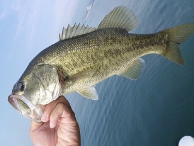 truth news ブログ写真 2012/09/14