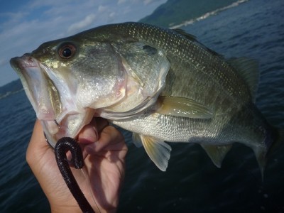 truth news ブログ写真 2012/09/15