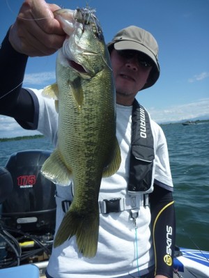 truth news ブログ写真 2012/09/15