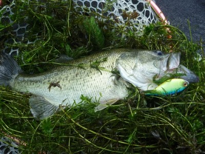 truth news ブログ写真 2012/09/15