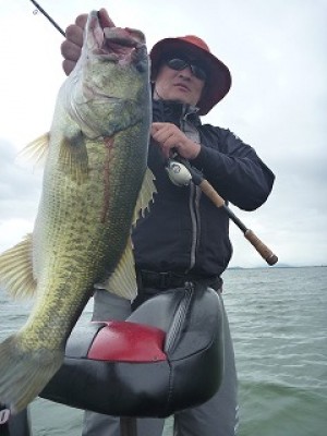 truth news ブログ写真 2012/09/19