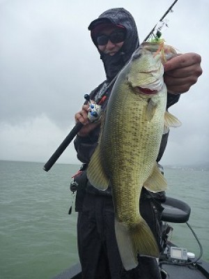 truth news ブログ写真 2012/09/19