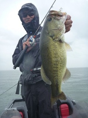 truth news ブログ写真 2012/09/19