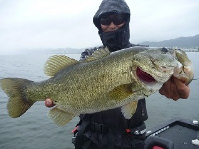 truth news ブログ写真 2012/09/19