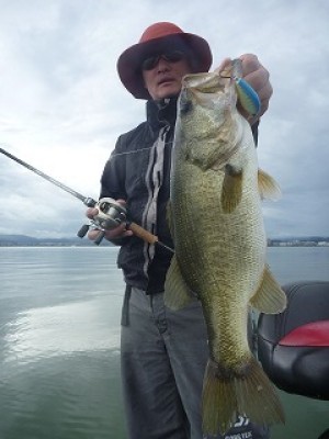 truth news ブログ写真 2012/09/19