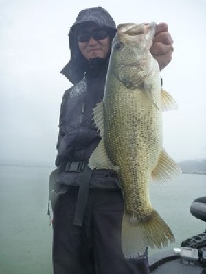 truth news ブログ写真 2012/09/19