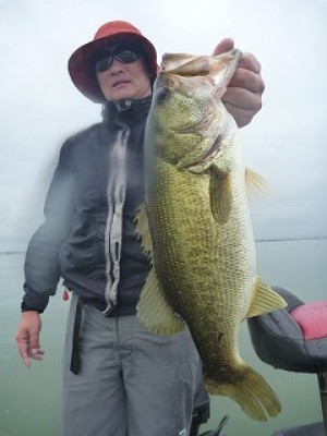 truth news ブログ写真 2012/09/19