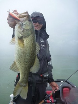 truth news ブログ写真 2012/09/19