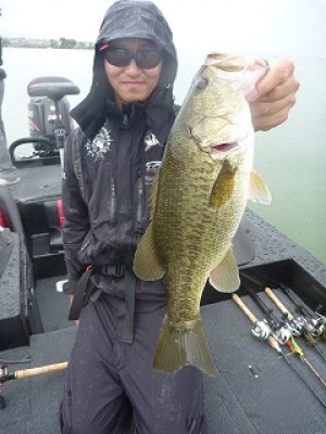 truth news ブログ写真 2012/09/19