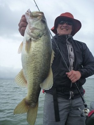 truth news ブログ写真 2012/09/19