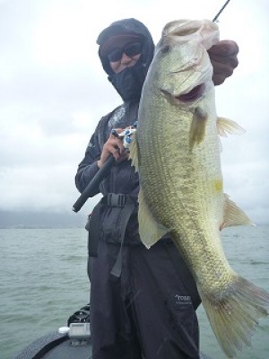 truth news ブログ写真 2012/09/19