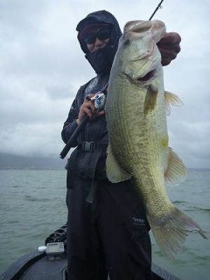 truth news ブログ写真 2012/09/19