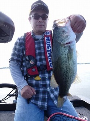 truth news ブログ写真 2012/09/23