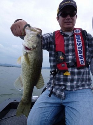 truth news ブログ写真 2012/09/23