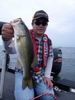 truth news ブログ写真 2012/09/23