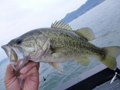 truth news ブログ写真 2012/09/23