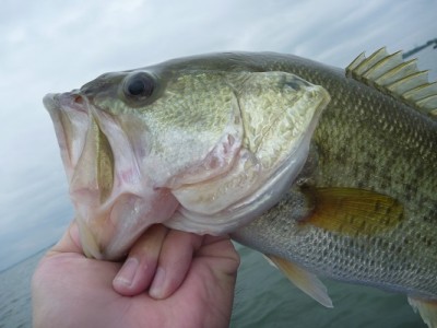 truth news ブログ写真 2012/09/23