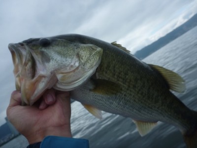 truth news ブログ写真 2012/09/23