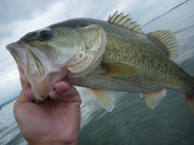 truth news ブログ写真 2012/09/23