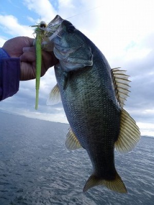 truth news ブログ写真 2012/09/25