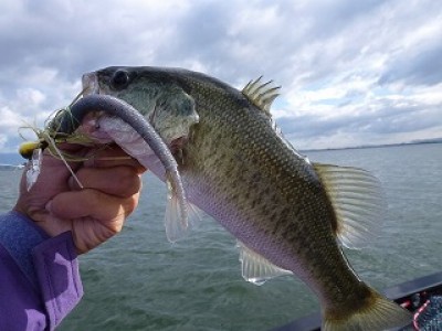 truth news ブログ写真 2012/09/25