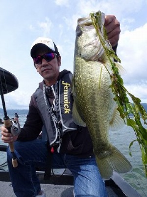 truth news ブログ写真 2012/09/25