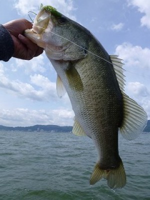 truth news ブログ写真 2012/09/25