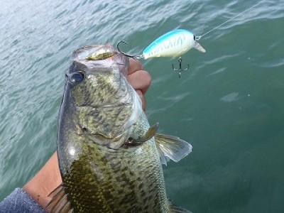 truth news ブログ写真 2012/09/25