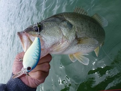 truth news ブログ写真 2012/09/25