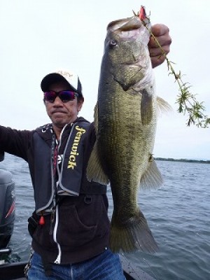 truth news ブログ写真 2012/09/25