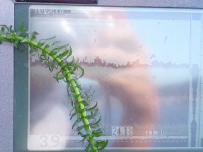 truth news ブログ写真 2012/09/26