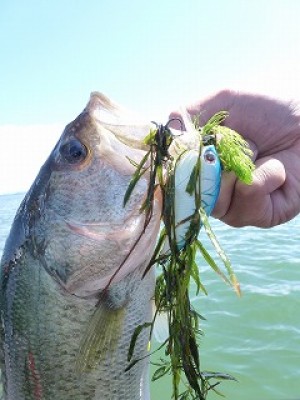 truth news ブログ写真 2012/09/26