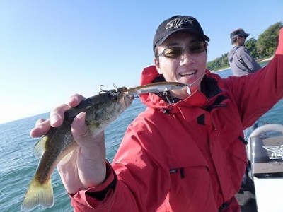 truth news ブログ写真 2012/09/27