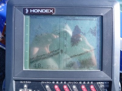 truth news ブログ写真 2012/09/27