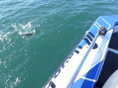 truth news ブログ写真 2012/09/27