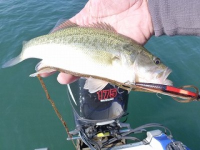 truth news ブログ写真 2012/09/27