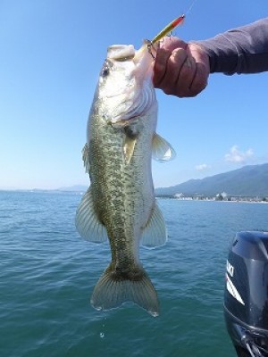 truth news ブログ写真 2012/09/27