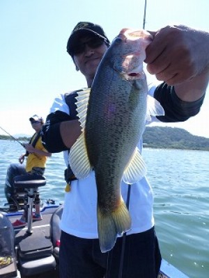 truth news ブログ写真 2012/09/27