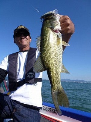 truth news ブログ写真 2012/09/27