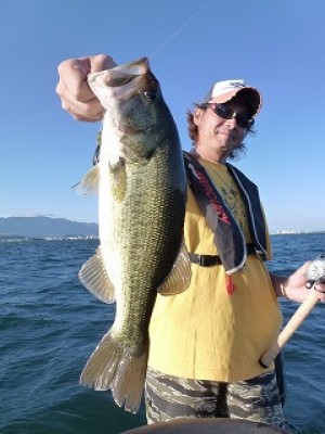 truth news ブログ写真 2012/09/27