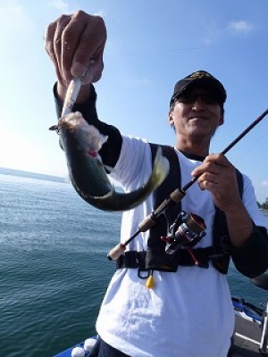 truth news ブログ写真 2012/09/27