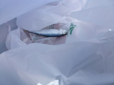 truth news ブログ写真 2012/09/27