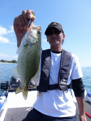 truth news ブログ写真 2012/09/27