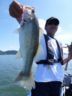 truth news ブログ写真 2012/09/27