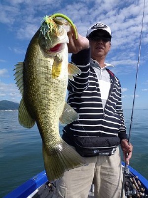 truth news ブログ写真 2012/10/03