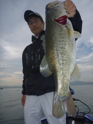truth news ブログ写真 2012/10/06