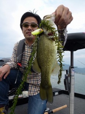 truth news ブログ写真 2012/10/07