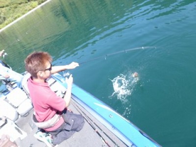 truth news ブログ写真 2012/10/16